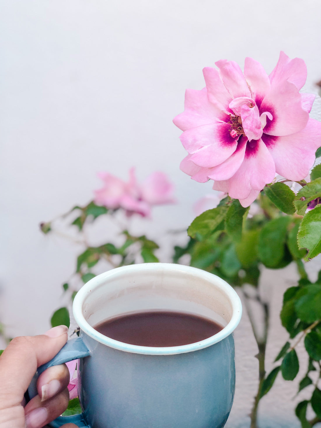 How to balance your Summer (Yang) energy